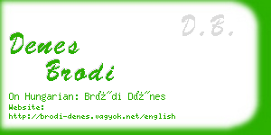 denes brodi business card